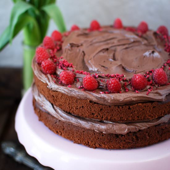 Vegan Chocolate Raspberry Cake