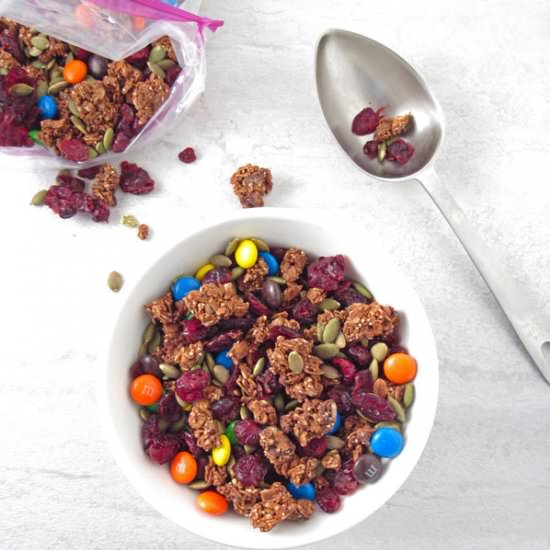 Healthy Gluten Free Trail Mix