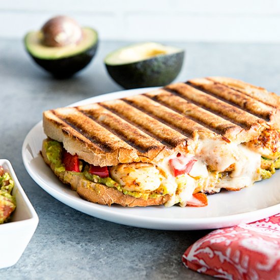 Avocado Chicken Panini