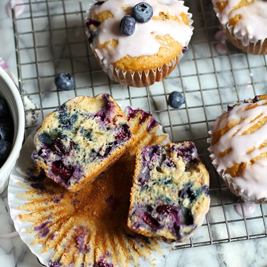 Yogurt Glazed Blueberry Muffins