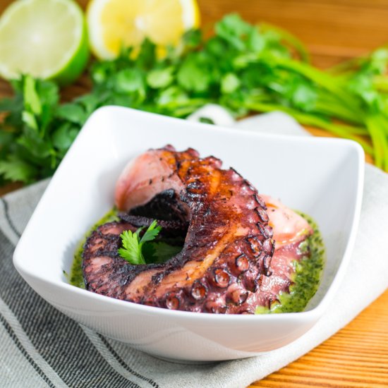 Sous Vide Octopus with Chimichurri