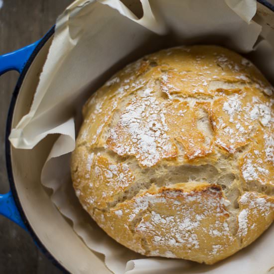 No-Knead Crusty Artisan Bread