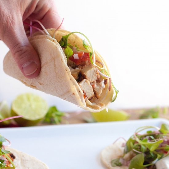 Chipotle Chicken Street Tacos