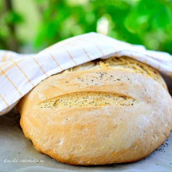 Homemade bread with olive oil