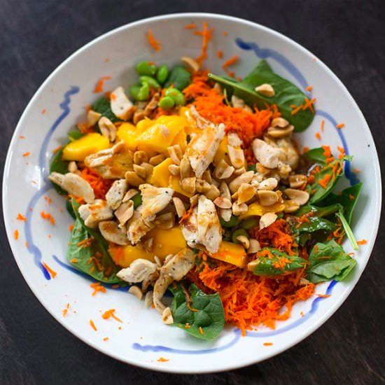 Sesame Ginger Chicken Salad