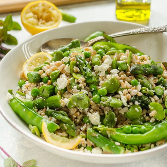 Spring Farro Salad