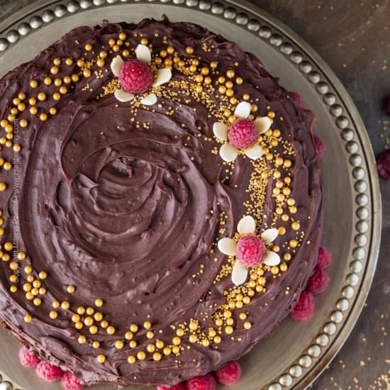 Chocolate Beer Cake with Raspberry