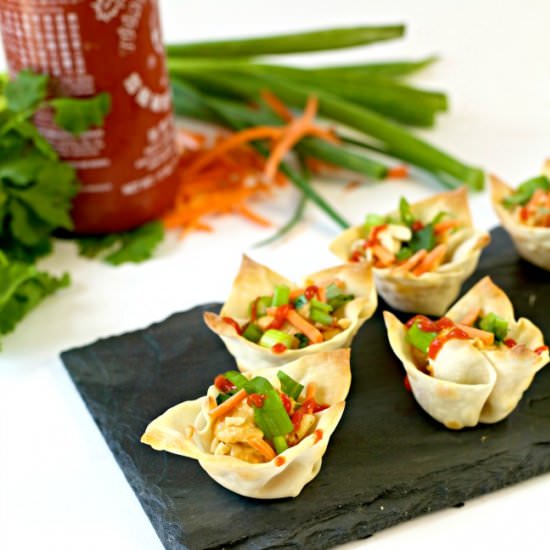 Vegetarian Wonton Bites