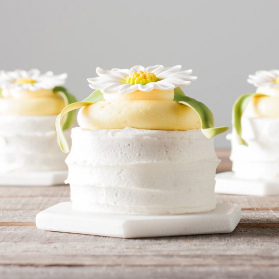 Sugar Daisy Mini Cakes