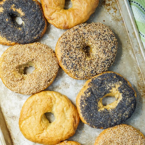 Homemade Bagels