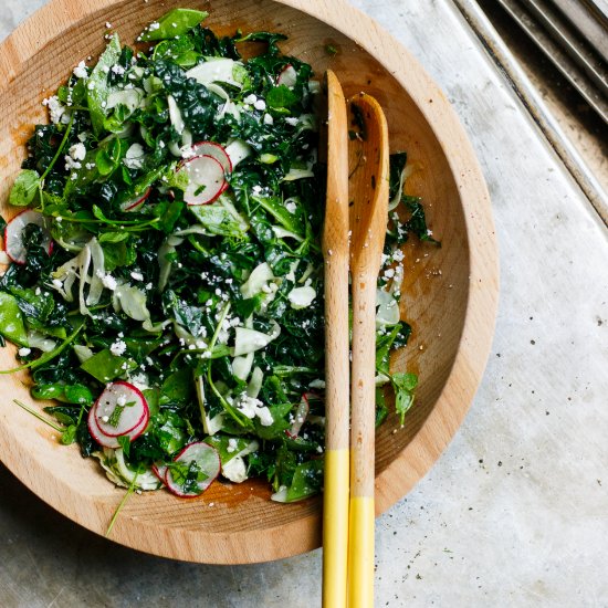 Lemony Fennel Radish + Kale Salad