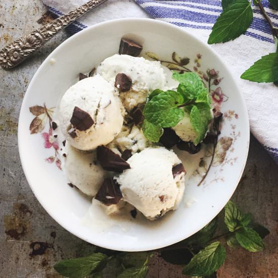 Fresh Mint Chocolate Chip Ice Cream