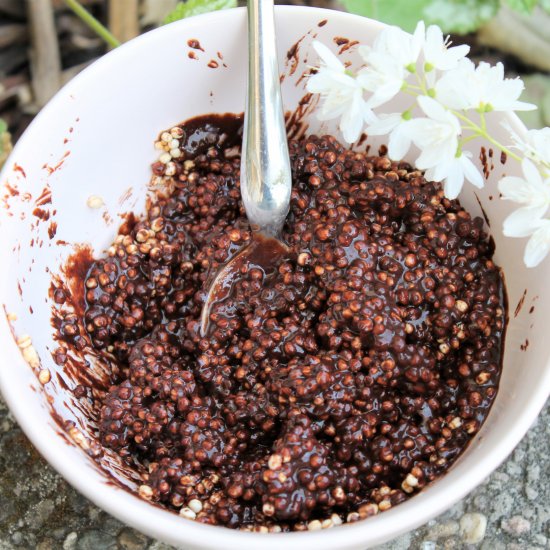 Cocoa Quinoa Brownie Bites