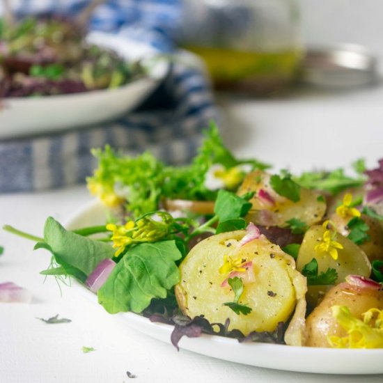 Spring Greens & New Potato Salad