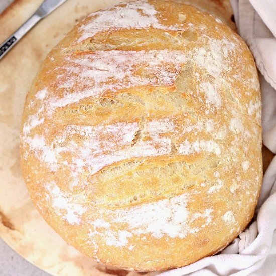 Easy No Knead Crusty Bread