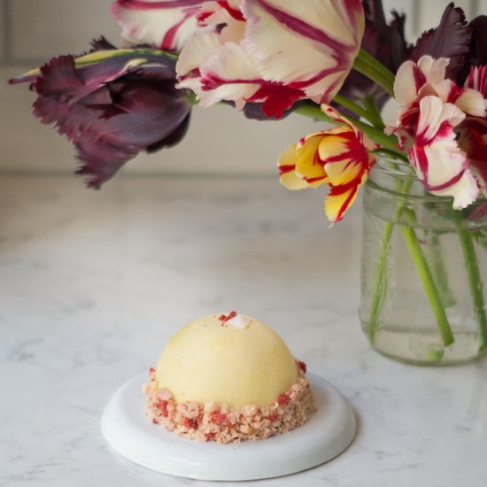 White Chocolate Raspberry Bombe