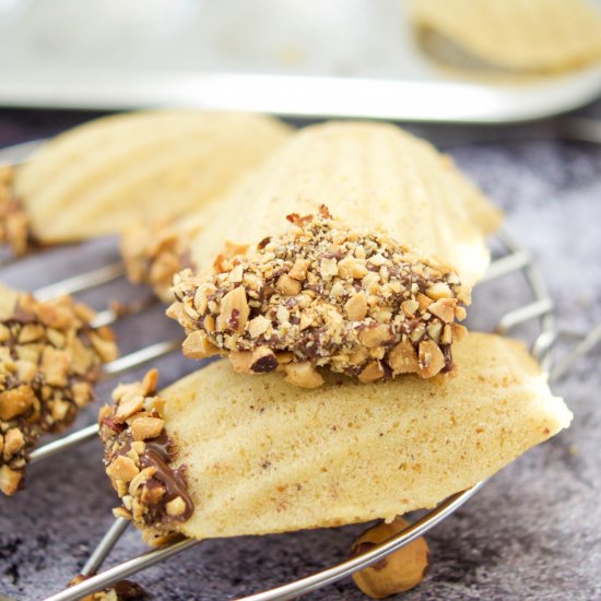 Delectable Hazelnut Madeleines