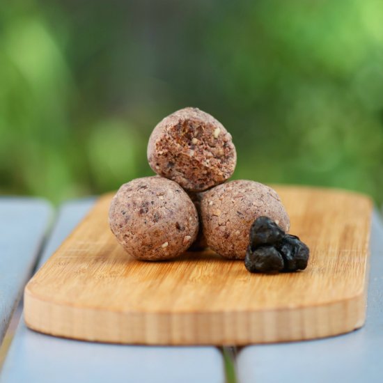 Blueberry Smoothie Protein Bites