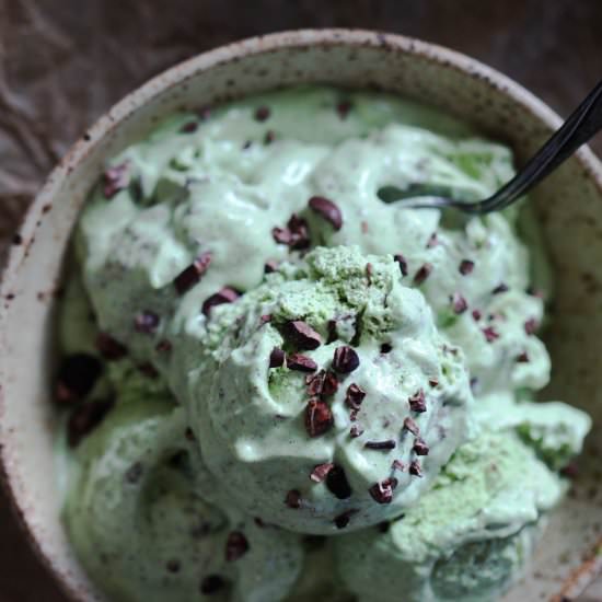 Mint Chocolate Chip Ice Cream