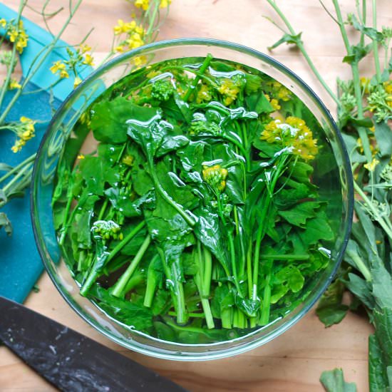 Sautéed Broccoli Rabe with Garlic