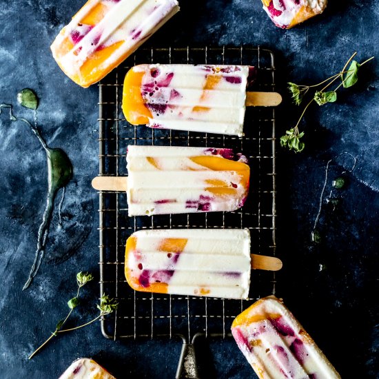 Frozen Mango Berry Ricotta Pops