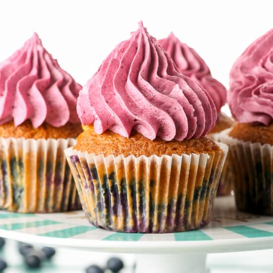 Blueberry Cupcakes