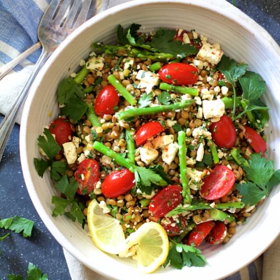 Lentil Asparagus Tomato Salad