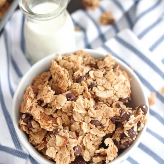 Coconut Almond Chocolate Granola