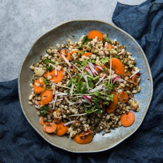 Mung Bean, carrot radish bowl