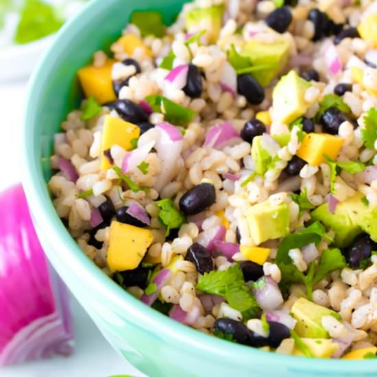 Brown Rice Black Bean Salad