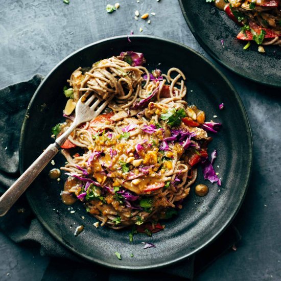 Spicy Peanut Soba Noodle Salad