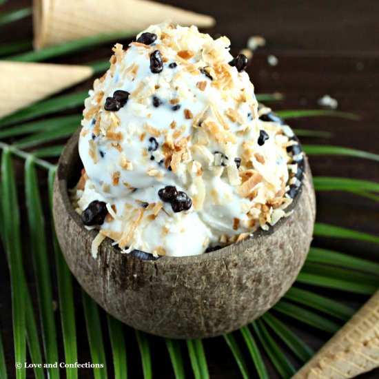 Toasted Coconut Crunch Ice Cream