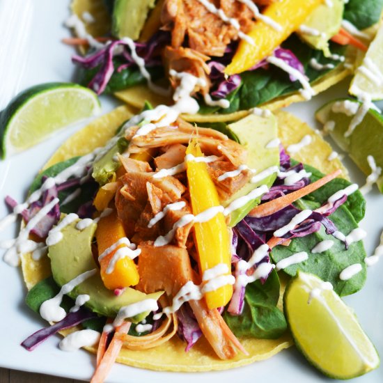 Vegan Thai Curry Jackfruit Tacos