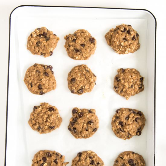 Healthy Applesauce Cookies