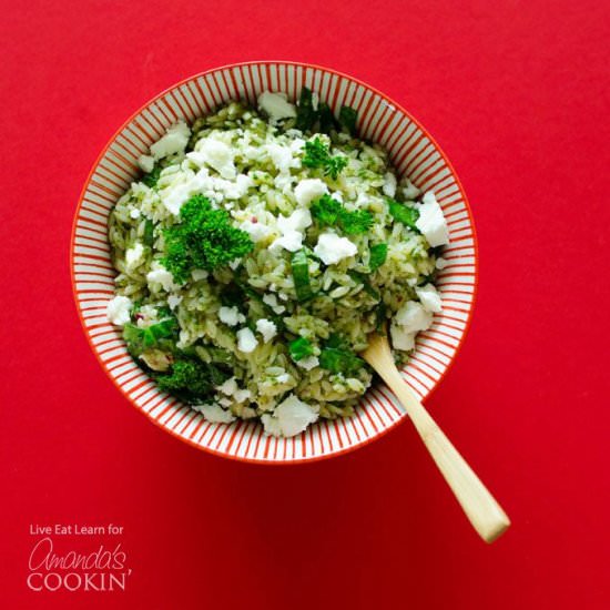 Orzo Salad with Chimichurri Sauce