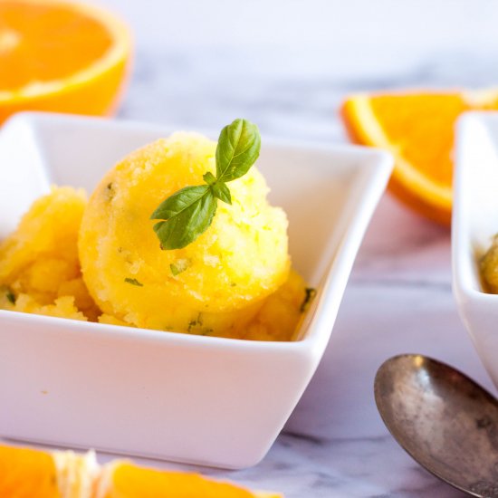 Orange Basil Sorbet