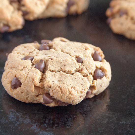 Double Almond Paleo Protein Cookies