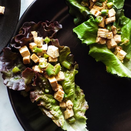 Tofu Veggie Lettuce Wraps