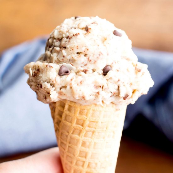 Coconut Chocolate Chip Ice Cream