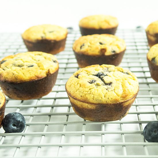 Coconut Flour Blueberry Muffins