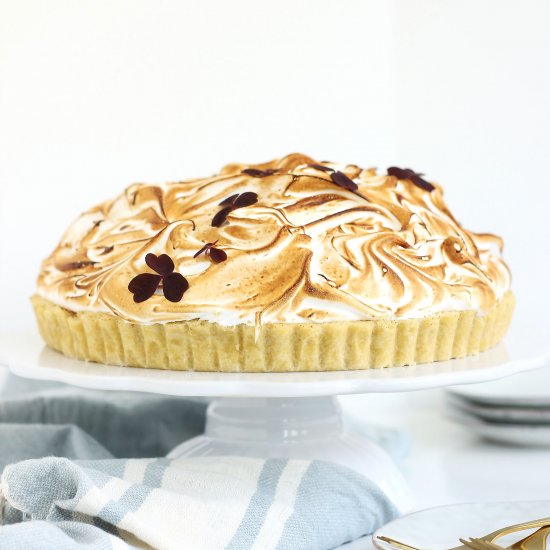 Rhubarb Coconut Meringue Pie