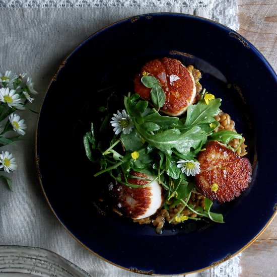 Sunflower Seed Risotto & Scallops