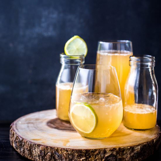 Apple + Citrus Sodas