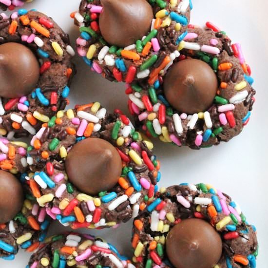 Double Chocolate Sprinkle Blossoms