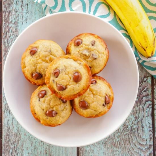 Banana Chocolate Chip Muffins