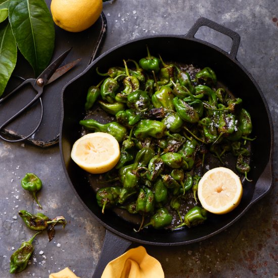 Blistered Padrón Peppers