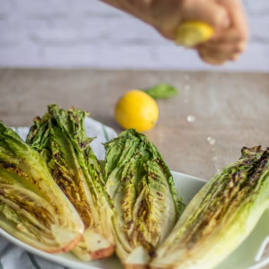 Grilled Romaine Salad