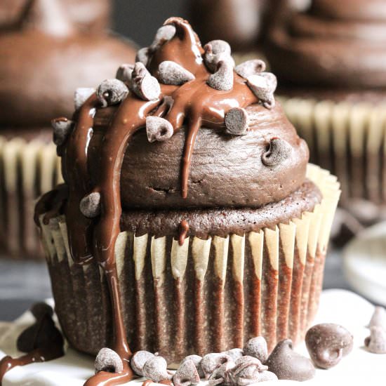 Gluten Free Chocolate Cupcakes