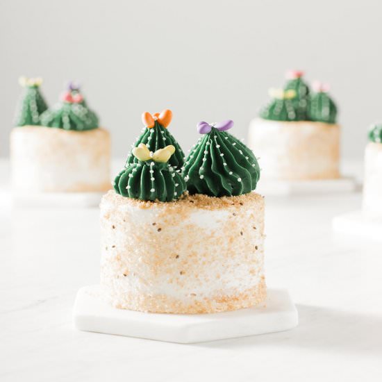 Cactus Mini Cakes