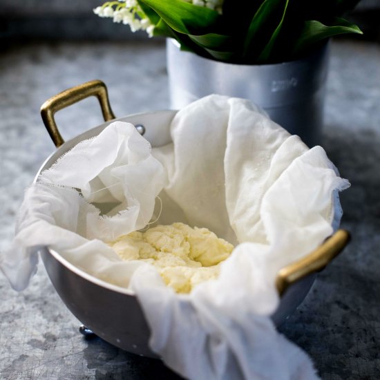 Homemade Ricotta Cheese